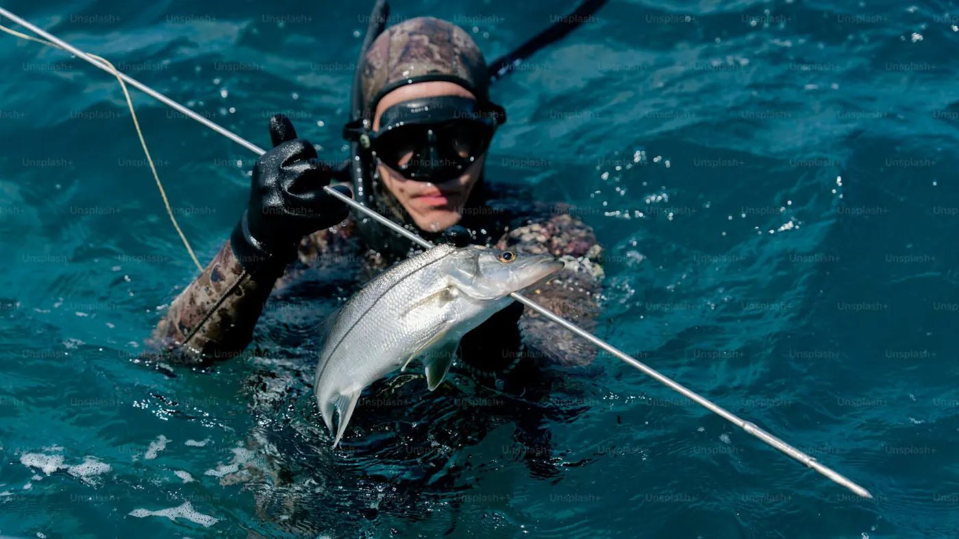 Guided spearfishing on a single breath, with an instructor inside arm's reach.