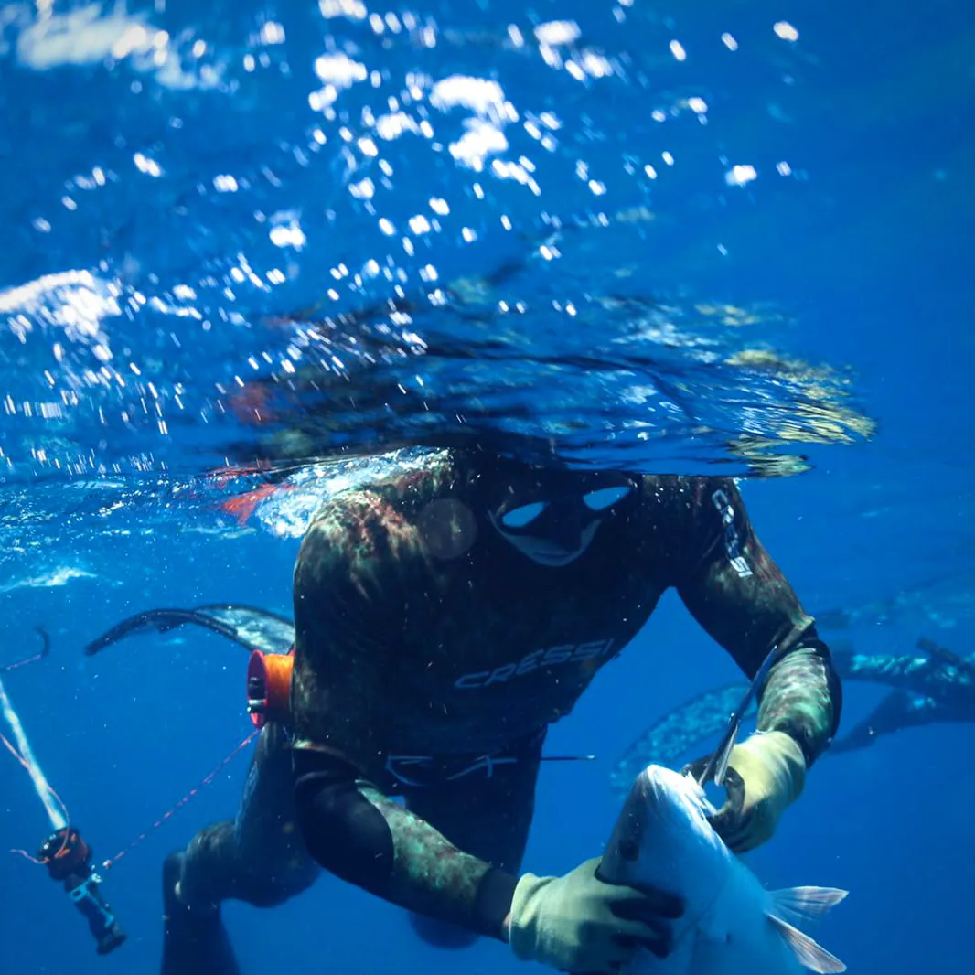 A spearfisher surfacing with a fish in hand, sunlight breaking on the water above